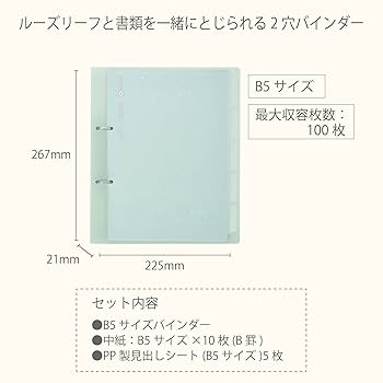 2ページ目　めいめいページ ダイソン 60865 DC62カーボンファイバー モーターヘッド 幅広